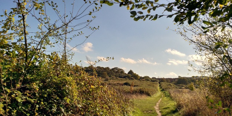 Cromer to East Runton walk